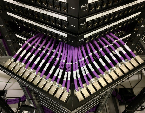Purple wires connected in server