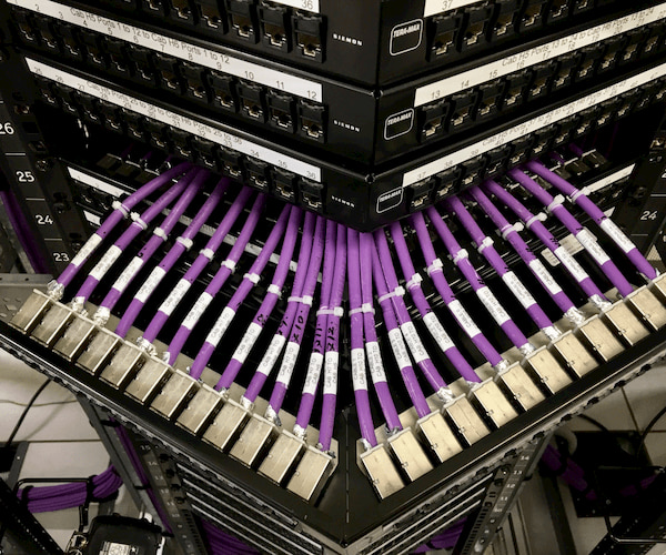 Purple wires connected in server