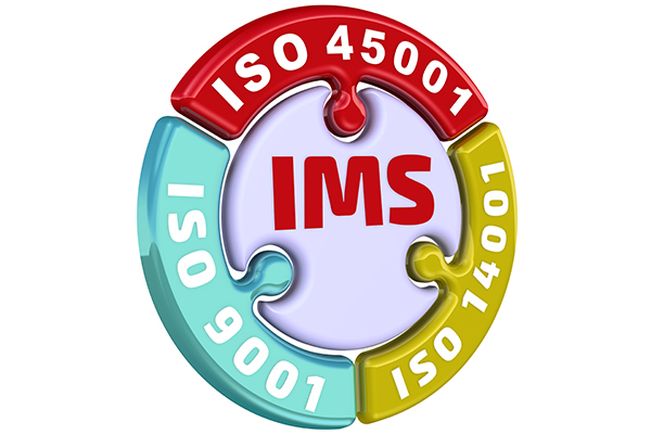 IMS. ISO Integrated Management System. The check mark in the form of a puzzle